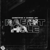 Rabbit Hole artwork