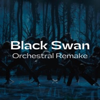 Black Swan (Orchestral Remake) - Single - Karl Francis