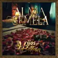 Alma Gemela