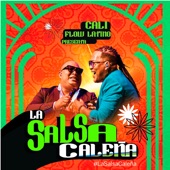 La Salsa Caleña artwork