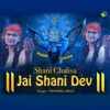 Shani Chalisa - Jai Shani Dev - EP
