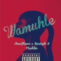Wamuhle (feat. Springle & Phushkin) - Single - AmaQhawe_sa