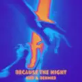 Because the Night