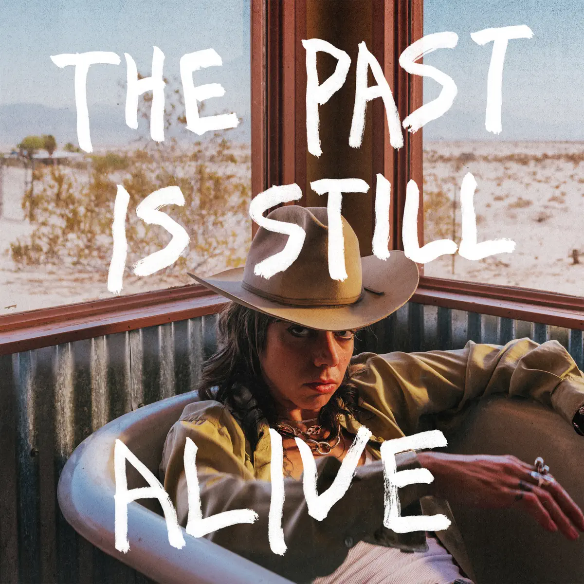 Hurray for the Riff Raff - The Past Is Still Alive (2024) [iTunes Plus AAC M4A]-新房子