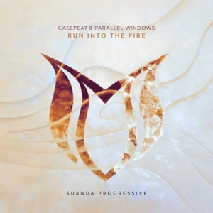 Run Into the Fire