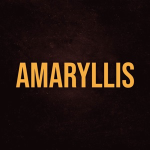 Amaryllis (From 