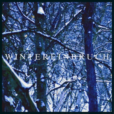 Wintereinbruch (feat. FALSCHGAS)