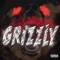 GRIZZLY - GL27 lyrics