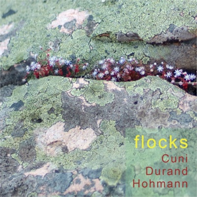 Flocks (feat. Uli Höhmann)