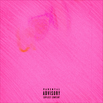 P!Nk 2