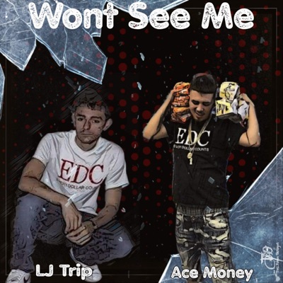 Won't See Me (feat. Ace Money) - Single