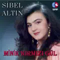 Sevenin Ne Günahı Var