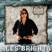 Nechte vlajky vlát (Radio Edit) song art