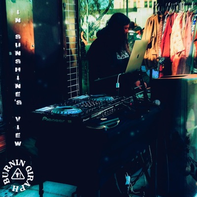 In Sunshine's View - EP