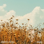 Shepherd in the Rye - EP