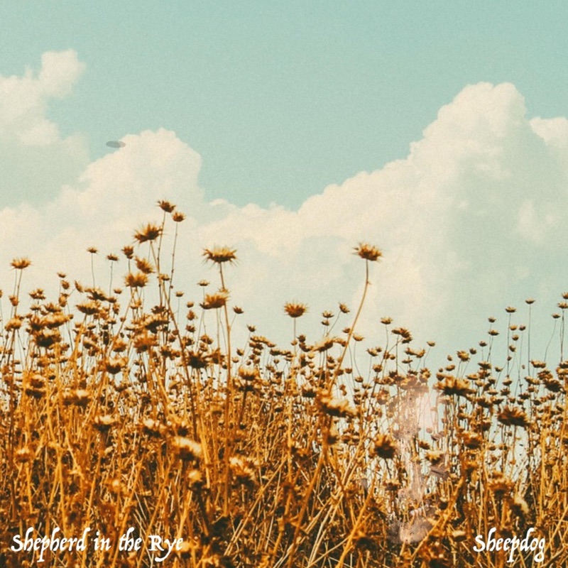 Shepherd in the Rye - EP