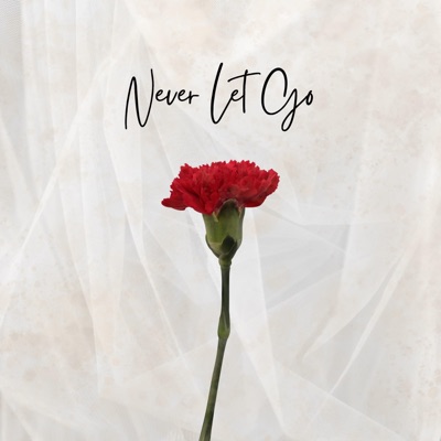 Never Let Go (Acoustic) - Single