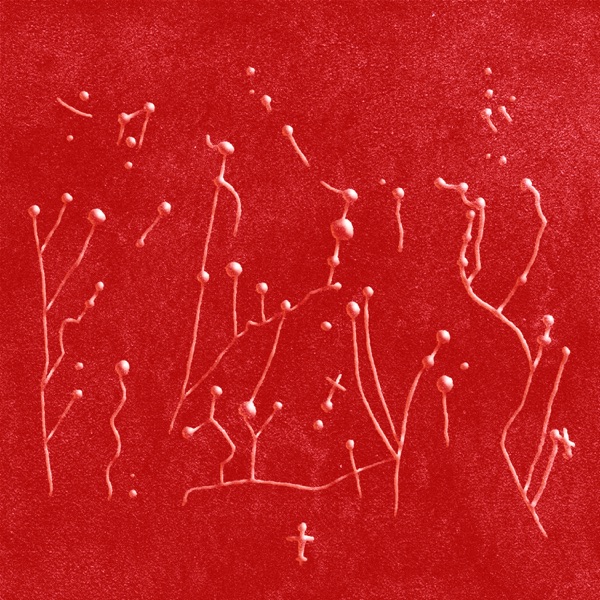 Embruxo Reworks