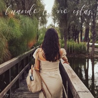 Cuando Tu No Estas - Single - Ray G