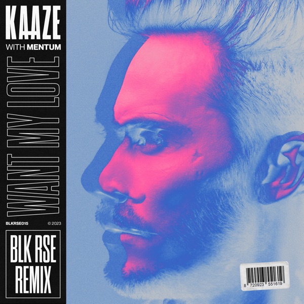 Want My Love (Blk Rse Remix) - Single