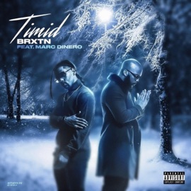 Timid (feat. Marc DiNero) BRXTN