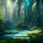 Sounds of the Night - Single