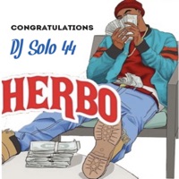 Congratulations - Single - DJ Solo 44 & Herbo