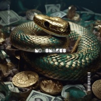No Snakes (feat. Soren & Nessly) - Single - Rishul