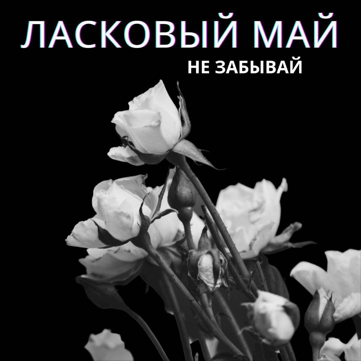 Не забывай под ласковый май. Ласковый май не забывай 2023. Ласковый май не забывай Автор. Обложка трека забывай Mayot.