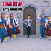 Duygu Veren Grani artwork