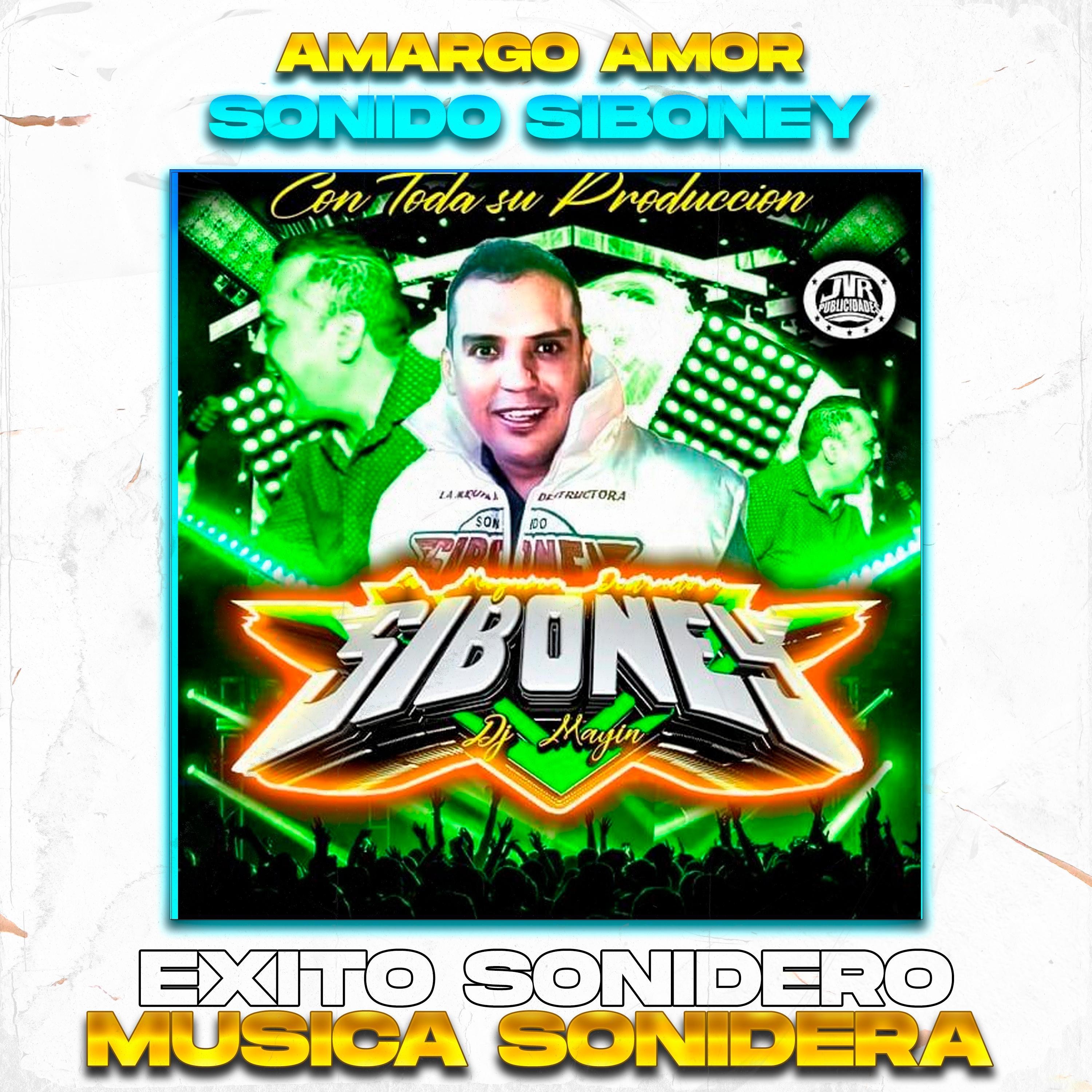 Amor amargo PERUANA,Éxito Sonido Siboney - Single