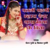 Patli Padgi Mhara Dewar Thara Bhaya K Bina - Single