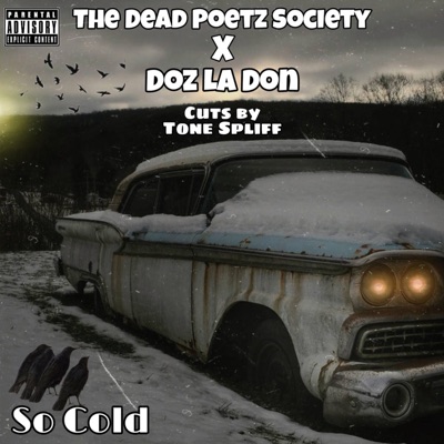 So Cold (feat. Cuts by Tone Spliff) - Single
