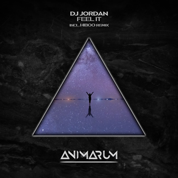 Feel It - Single