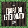 Tropa do Estelionato - Single