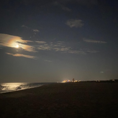 See Through the Fog - Single