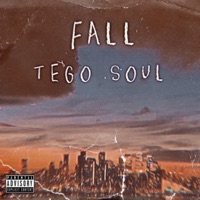 Fall - Single - Tego Soul