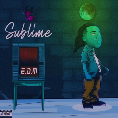 Sublime E.D.M. (Lost Side Edition)
