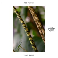 On The Line (Extended) - Single - PEZNT & Piem