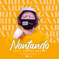 Nontando (feat. Sharks Nkonki) - Single - Gxarha