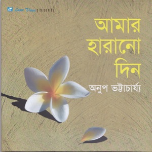 Amar Harano Din