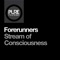 Stream of Consciousness - Forerunners lyrics