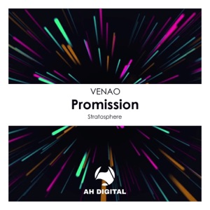 Promission - Single