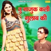 Tu Nazuk Kali Gulab Ki - Single