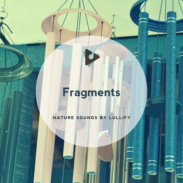 Fragments