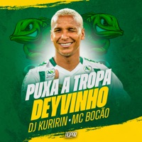 Puxa a Tropa Deyvinho - Single - Dj Kuririn, Mc bocão & ADpar Records