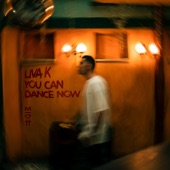 You Can Dance Now artwork