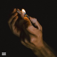 Novacane - Single - Jordan Alter