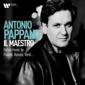 Il Maestro: Italian Music by Puccini, Rossini, Verdi... artwork