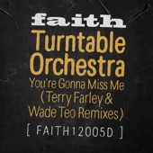 You're Gonna Miss Me (Terry Farley & Wade Teo Extended Remix) artwork